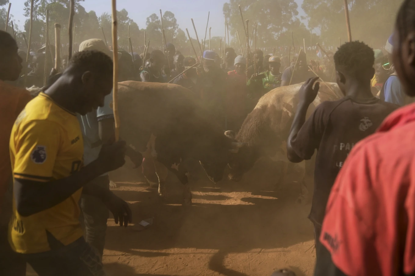 Crowd surrounding a traditional Luhya bullfighting contest