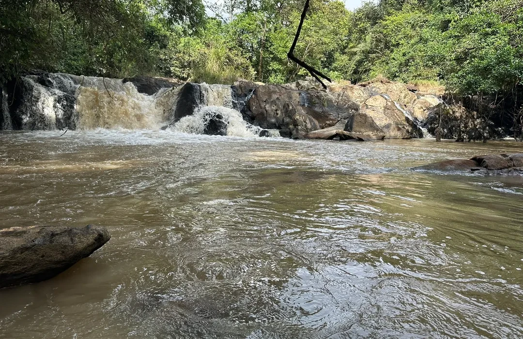 Isiukhu Falls tumbling over dark rocks inside Kakamega Forest