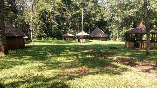 Thatched royal homestead and artefact displays at Nabongo Cultural Centre