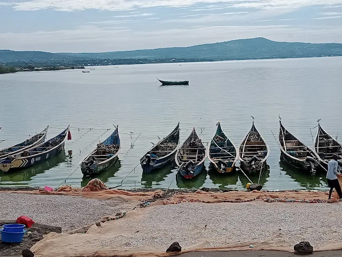Colourful fishing boats pulled onto the sand at Sori Beach, Lake Victoria